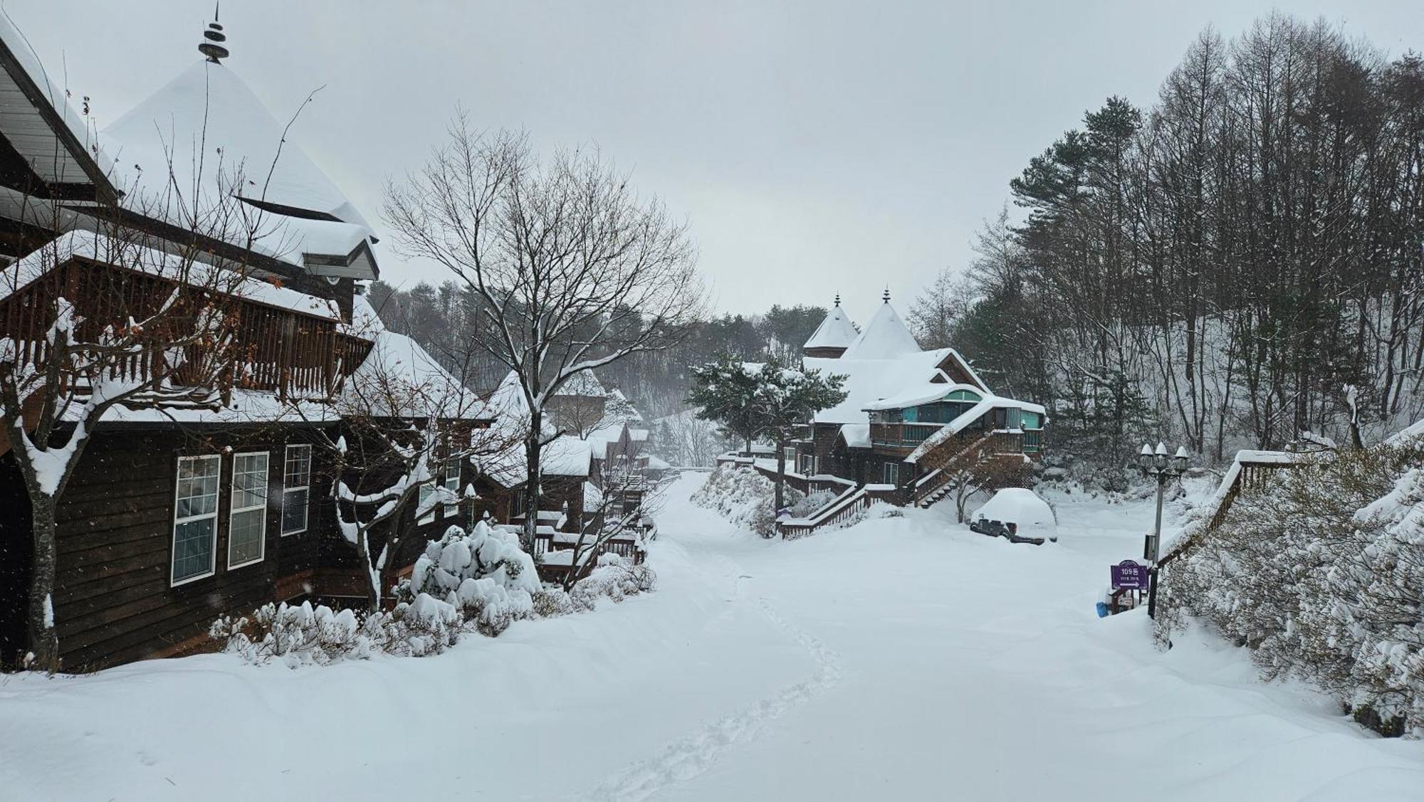 Elf Resort Hotel Pyeongchang Eksteriør billede