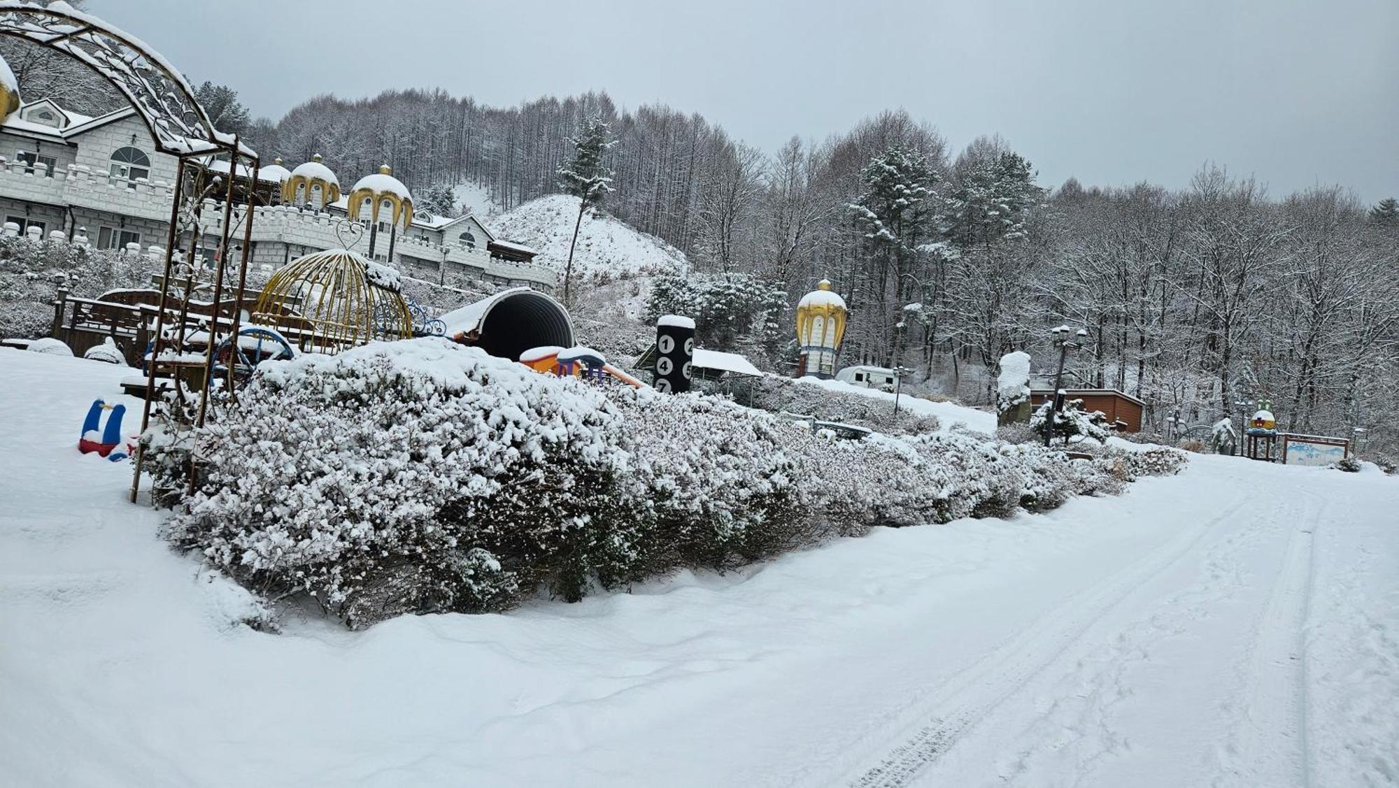 Elf Resort Hotel Pyeongchang Eksteriør billede